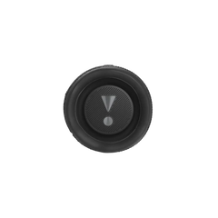 JBL Flip 6