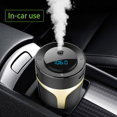 Multifunctional Air Purifier
