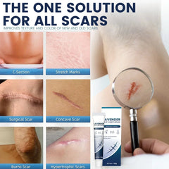 Lavender Skin Care Cream